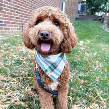 Load image into Gallery viewer, caramel apple flannel dog bandana
