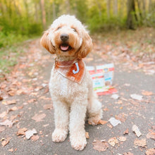 Load image into Gallery viewer, chai latte flannel letterman dog bandana
