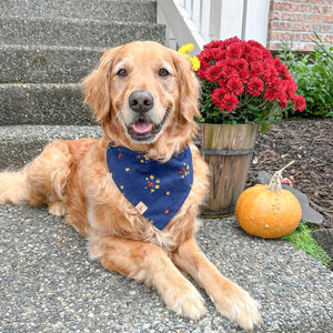 corduroy dog bandana