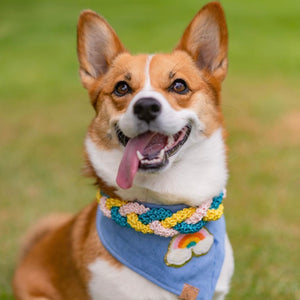 love is love dog bandana