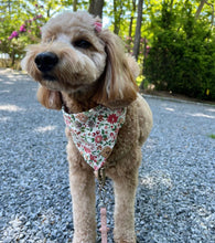 Load image into Gallery viewer, morning blossom dog bandana
