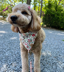 morning blossom dog bandana