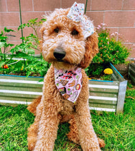 Load image into Gallery viewer, LAST CHANCE! osaka delights dog bandana
