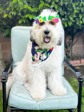 Load image into Gallery viewer, paradise pup dog bandana
