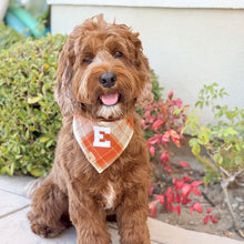 Load image into Gallery viewer, chai latte flannel letterman dog bandana
