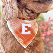 Load image into Gallery viewer, chai latte flannel letterman dog bandana
