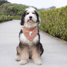 Load image into Gallery viewer, LAST CHANCE! snickerdoodle letterman dog bandana
