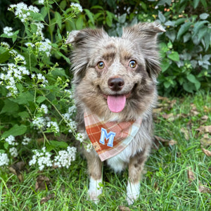 chai latte flannel letterman dog bandana