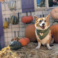 Load image into Gallery viewer, the royce dog bandana
