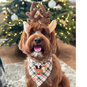 noel's plaid dog bandana