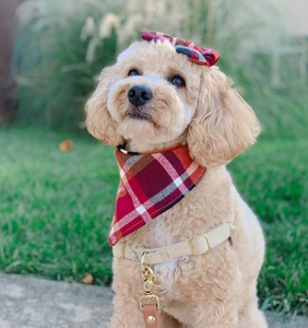 cinnamon spice flannel dog bandana