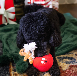 wrecking bauble dog toy