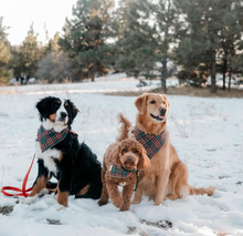 Load image into Gallery viewer, cottonwood plaid dog bandana
