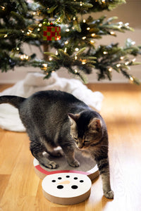 snowman cat scratch pad