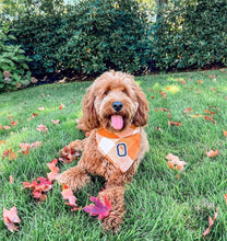 Load image into Gallery viewer, caramel pop letterman dog bandana
