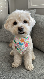 LAST CHANCE! lucky charms dog bandana (XS, S, S/M, XL only)