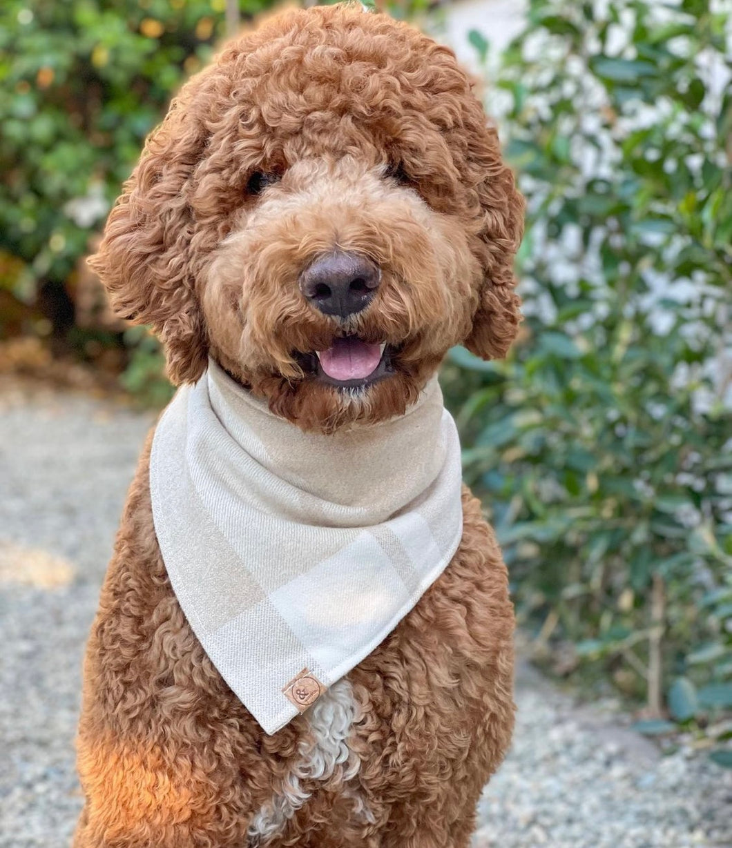 wimborne flannel dog bandana