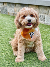 Load image into Gallery viewer, caramel pop letterman dog bandana
