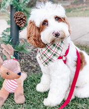 Load image into Gallery viewer, noel&#39;s plaid dog bandana
