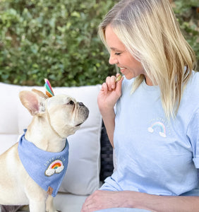 love is love dog bandana