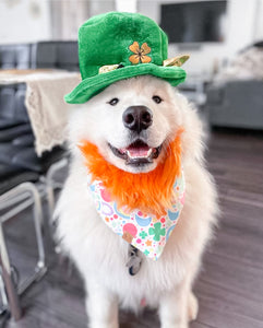 LAST CHANCE! lucky charms dog bandana (XS, S, S/M, XL only)