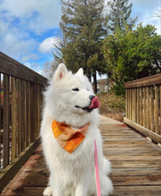 Load image into Gallery viewer, caramel pop flannel dog bandana
