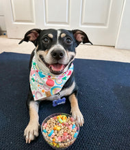 Load image into Gallery viewer, LAST CHANCE! lucky charms dog bandana (XS, S, S/M, XL only)
