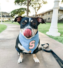 Load image into Gallery viewer, light denim pink varsity sherpa letterman dog bandana (M/L, L, XL)
