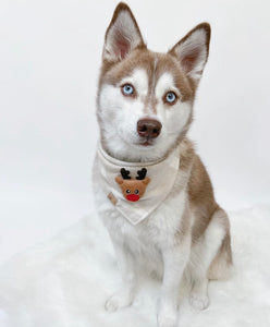 LAST CHANCE! ugly sweater: reindeer edition dog bandana