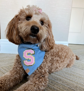 light denim pink varsity sherpa letterman dog bandana (M/L, L, XL)